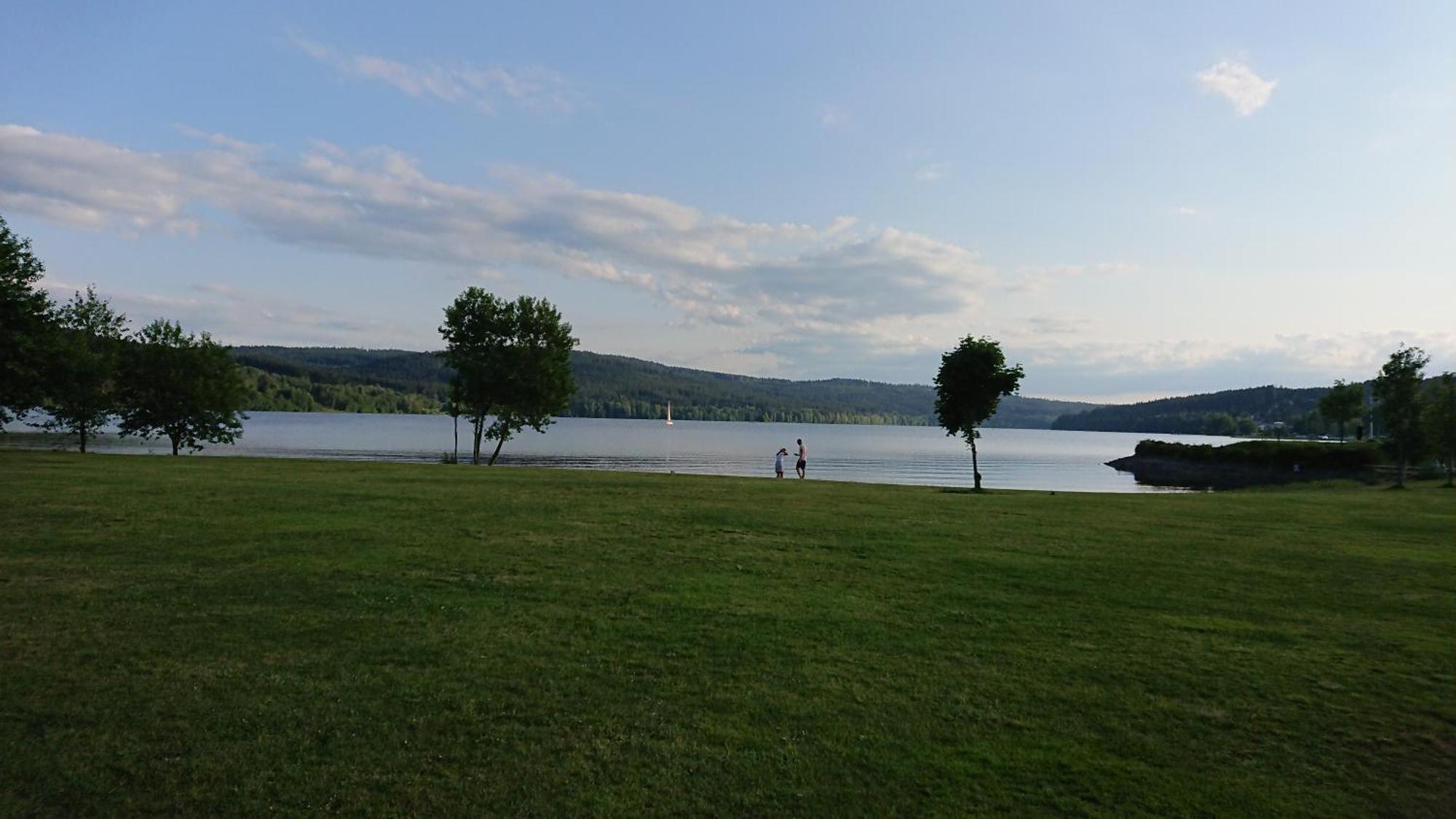 Lipno99 Villa Lipno nad Vltavou Værelse billede